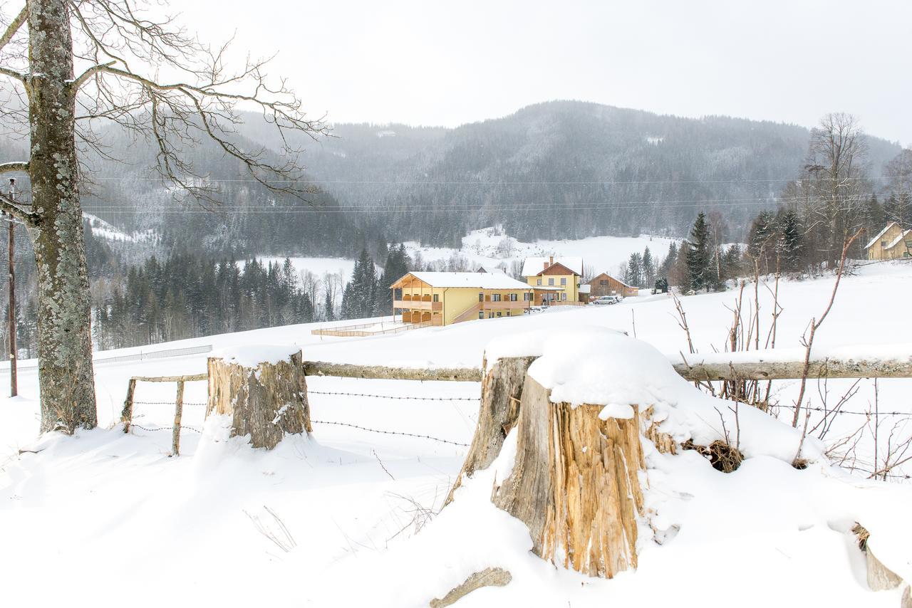 Gasthof Wachter Gaal Buitenkant foto